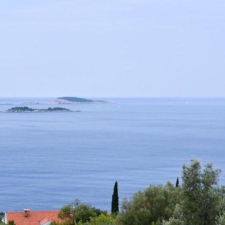 Apartment Eli - Sea View Млини Экстерьер фото